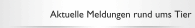 Aktuelle Meldungen rund ums Tier